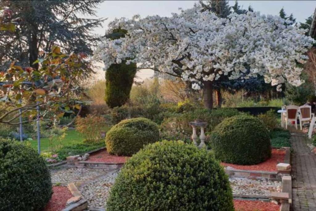 Chez Maya Erquinghem-Lys Exteriér fotografie